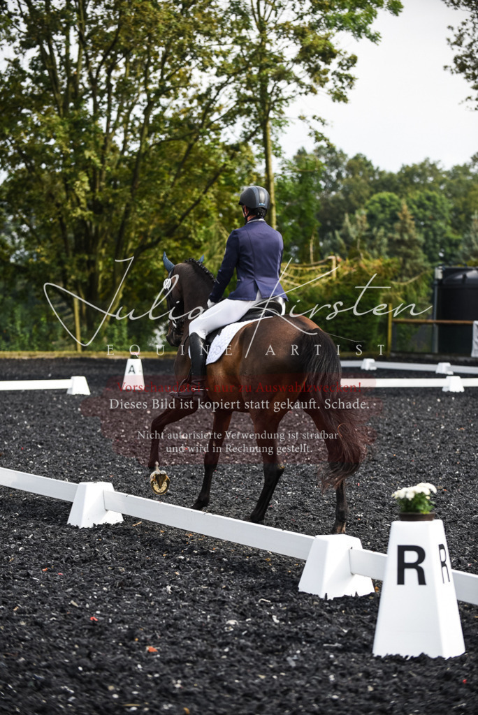 DSC_3039 | Pferde- und Turnierfotografie in Westsachsen. Pferdeportraits, Auftragszeichnungen und intuitive Kunst.