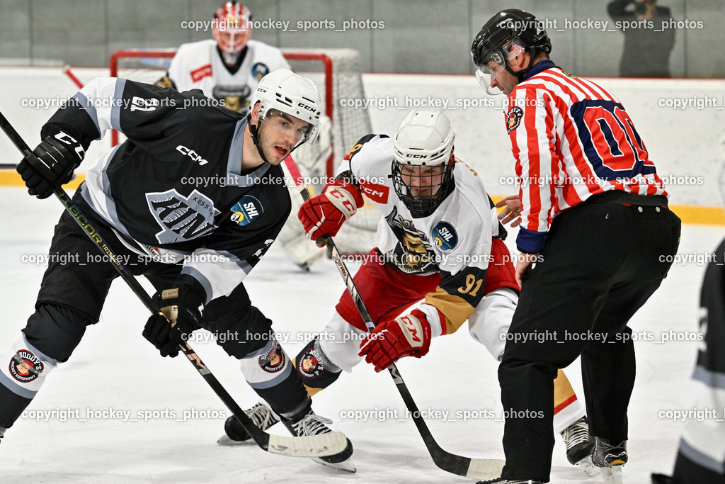 Kuss & Kuss Kings vs. Golden Bulls | #21 Haudum Luka Kuss &amp; Kuss Kings, #91 Vann Ee Luc Golden Bulls, Kuss &amp; Kuss Kings vs. Golden Bulls, Kuss &amp; Kuss Kings vs. Golden Bulls am 30.05.2025 in Ferlach (HTC Eishalle Ferlach), Austria, (Photo by Bernd Stefan)