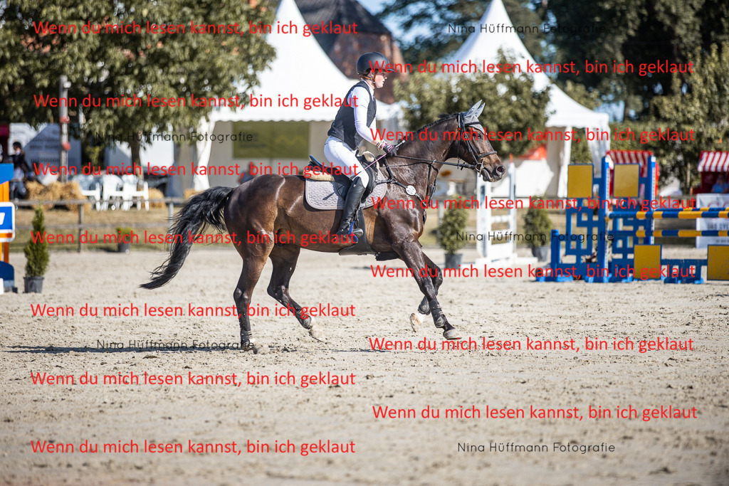 BK1A7362 | Turnierbilder Turnierfotos Nina Hüffmann Turnierfotografie Pferdefotografie Tierzeichnung Haustierzeichnung Pferdezeichnung Hundezeichnung Videograf  - Realisiert mit Pictrs.com
