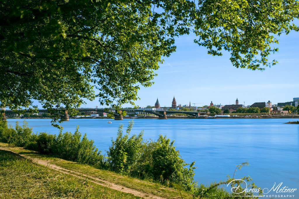 _DSC0019 | Fotografien, Fotos und Bilder aus Mainz, Frankfurt, Wiesbaden und anderen Orten auf der Welt - Fotografiert von Darius Metzner