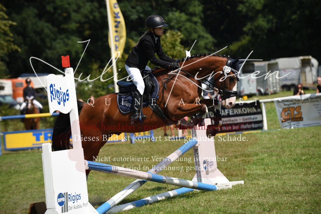 DSC_0010 | Pferde- und Turnierfotografie in Westsachsen. Pferdeportraits, Auftragszeichnungen und intuitive Kunst.