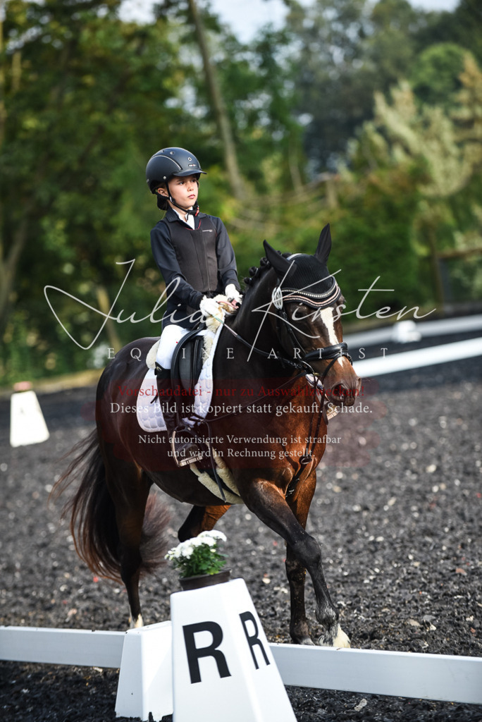DSC_3537 | Pferde- und Turnierfotografie in Westsachsen. Pferdeportraits, Auftragszeichnungen und intuitive Kunst.