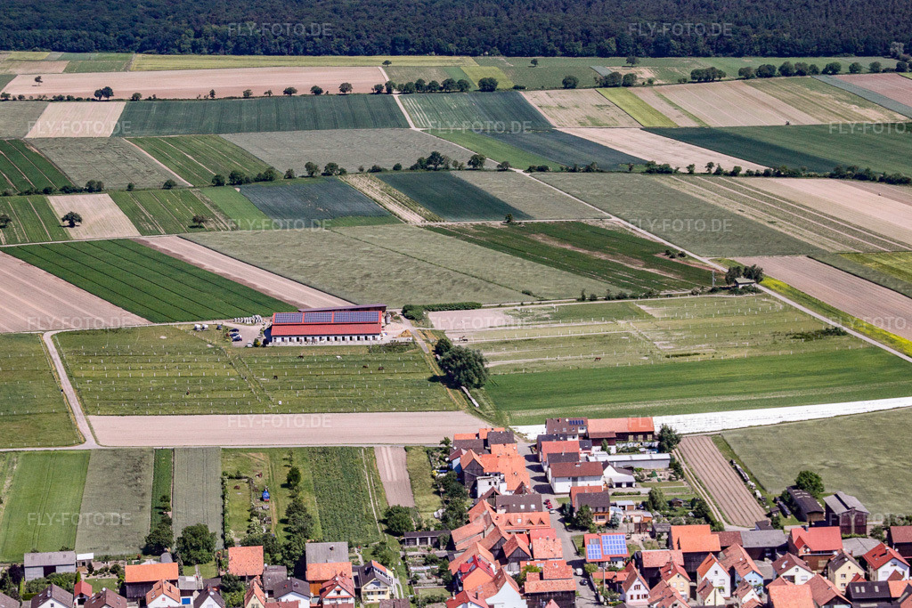 Luftbild: Pferedepension Seehof in Hatzenbühl im Bundesland Rheinland-Pfalz in Deutschland. Foto: IMG_18445.jpg vom 30.05.2009 durch Werner Riehm/FLY-FOTO.de