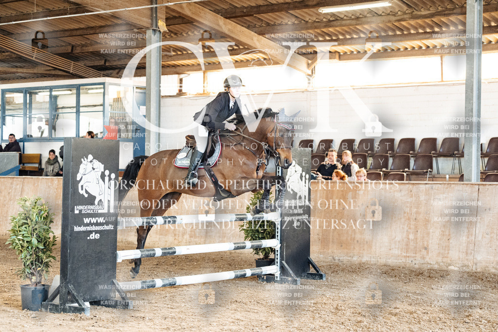 CK905224 | Turnierfotografie Pferdefotografie Trier Rheinland-Pfalz Pferdesport Reitsport Tierfotografie Sportfotografie Pferdevideo Pferdevideografie Equestrianvideography equestrianphotography  - Realized with Pictrs.com