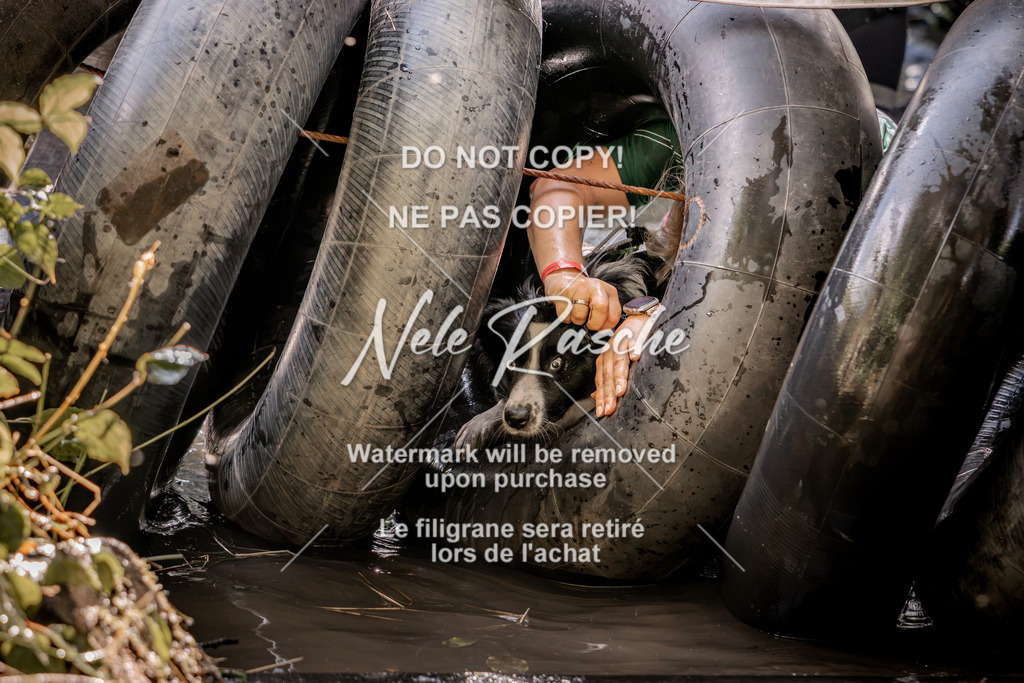nelerasche_Hunsrück2026_Sa1400-1500_427 | nelerasche