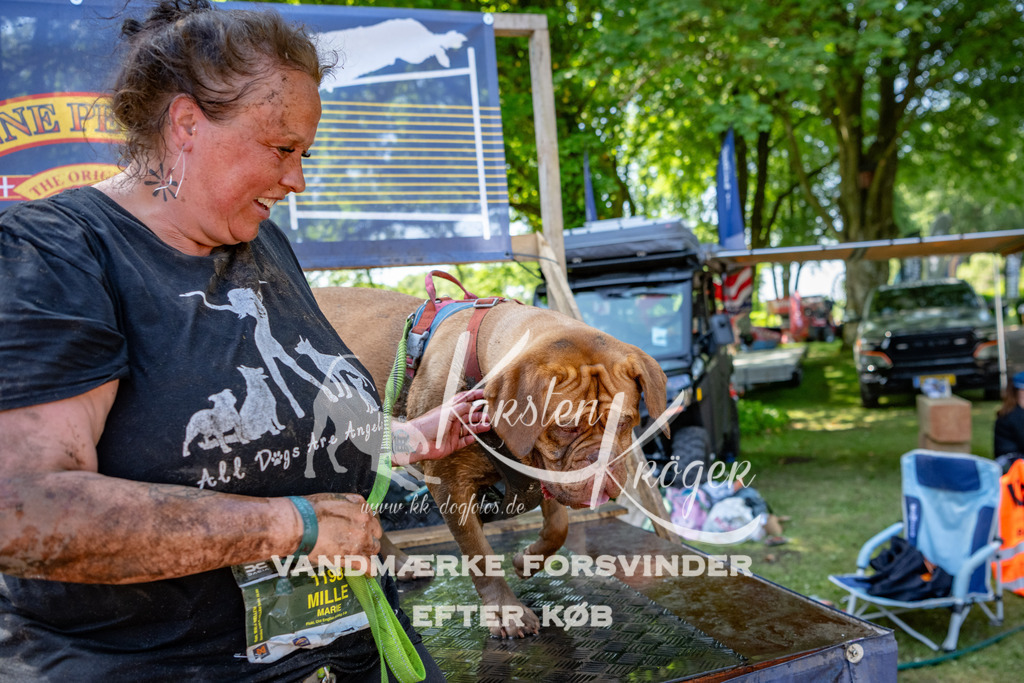 1334_ZZ91707 | kk-dogfotos