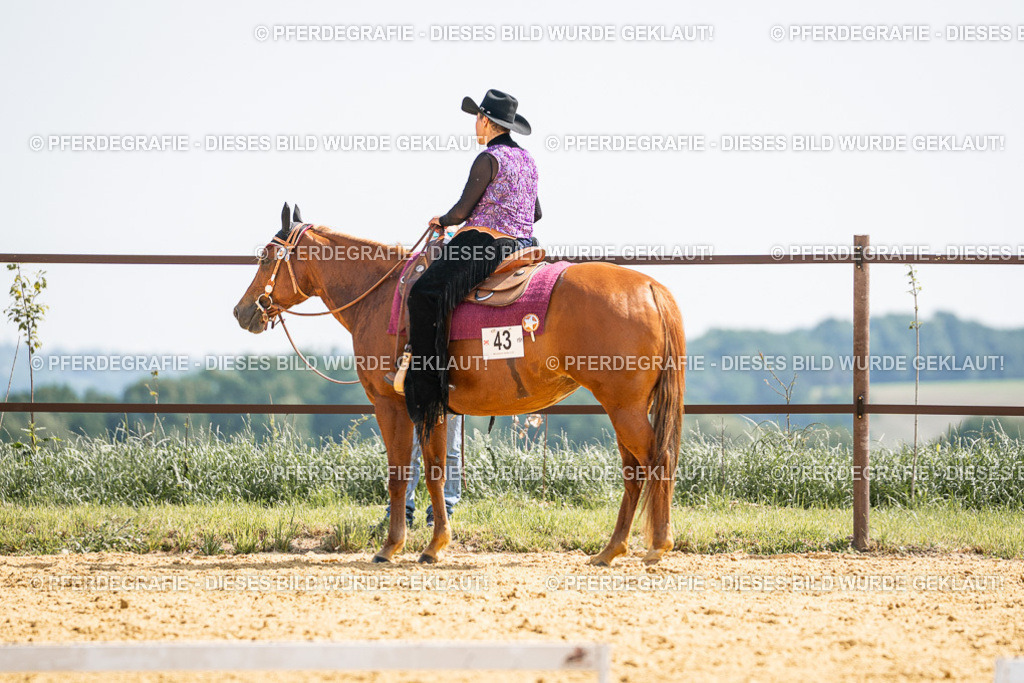 DSC09760 | Pferdegrafie