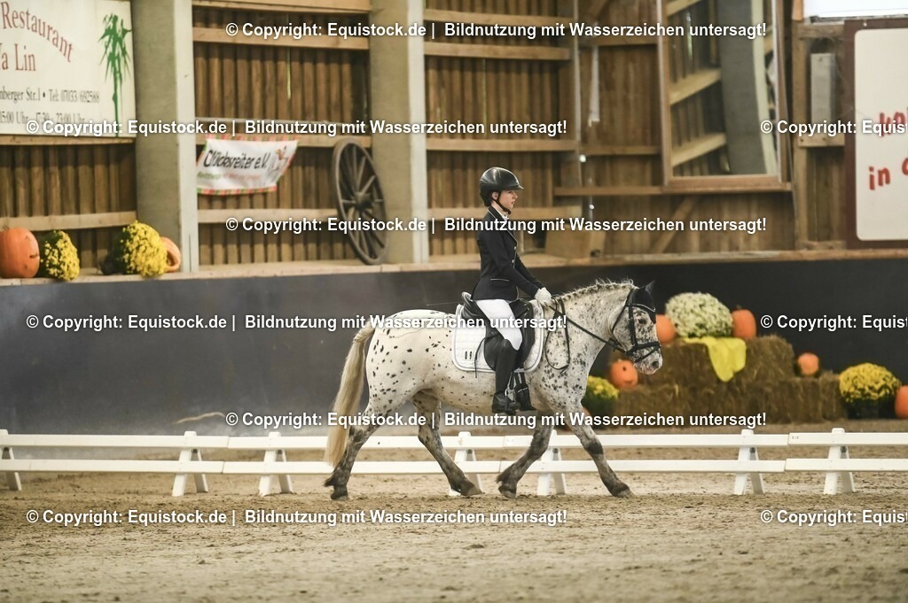 20231029_04_Dressur-WB_0344 | Foto: Thomas Hartig