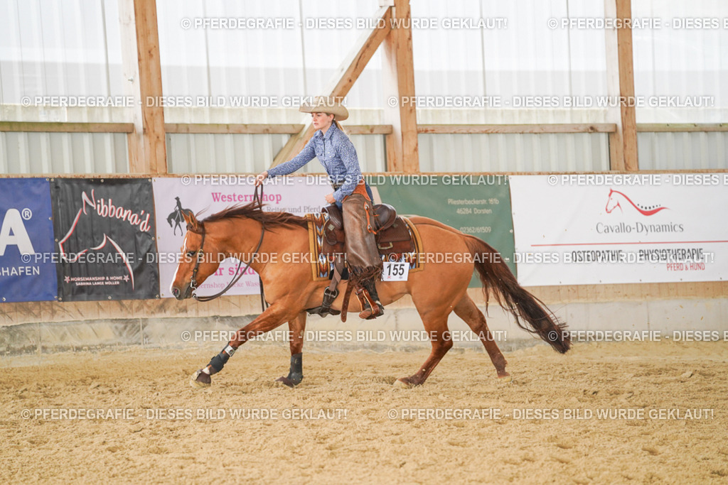 DSC01557 | Pferdegrafie