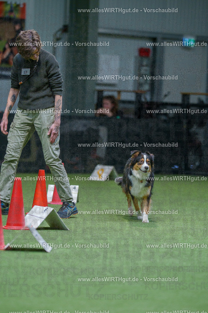 7R506030 | Professionelle Tierfotografie in Mönchengladbach von Daniel Wirth (allesWIRTHgut). Liebevolle & natürliche Bilder von Hunden & Katzen für unvergessliche Erinnerungen.