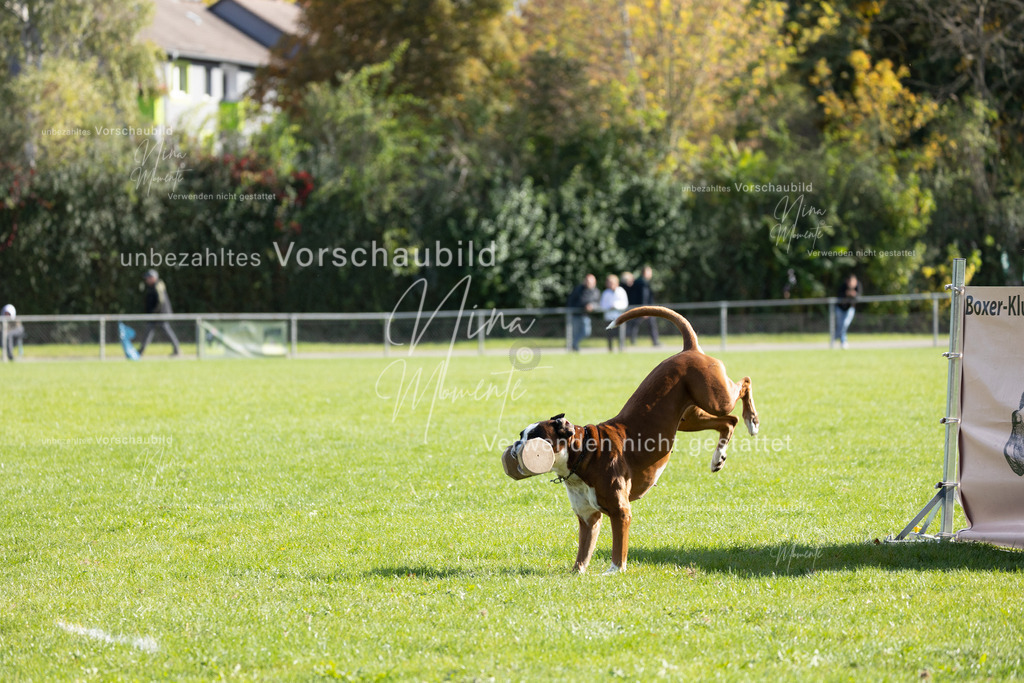 _16A6949 | Einzigartige Fotos von Hunden & Menschen –Actionfotos, Portraits, Vereinsaufnahmen & Paarshootings – authentisch, lebendig & mit Herz.