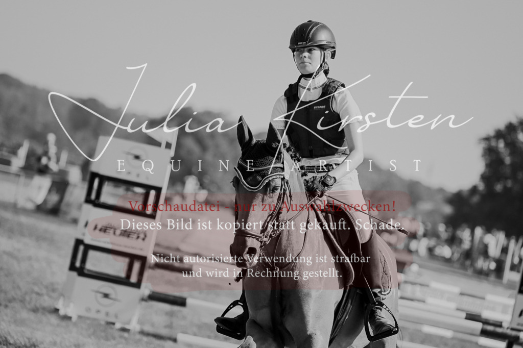 DSC_9414 | Pferde- und Turnierfotografie in Westsachsen. Pferdeportraits, Auftragszeichnungen und intuitive Kunst.