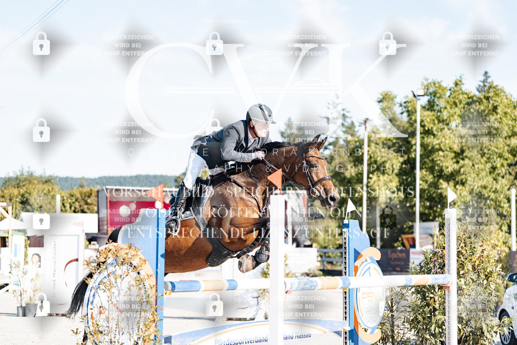 CK904085 | Turnierfotografie Pferdefotografie Trier Rheinland-Pfalz Pferdesport Reitsport Tierfotografie Sportfotografie Pferdevideo Pferdevideografie Equestrianvideography equestrianphotography  - Realisiert mit Pictrs.com