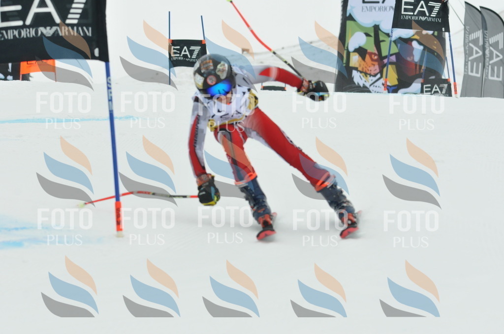 DSC_8623 | holidayphoto