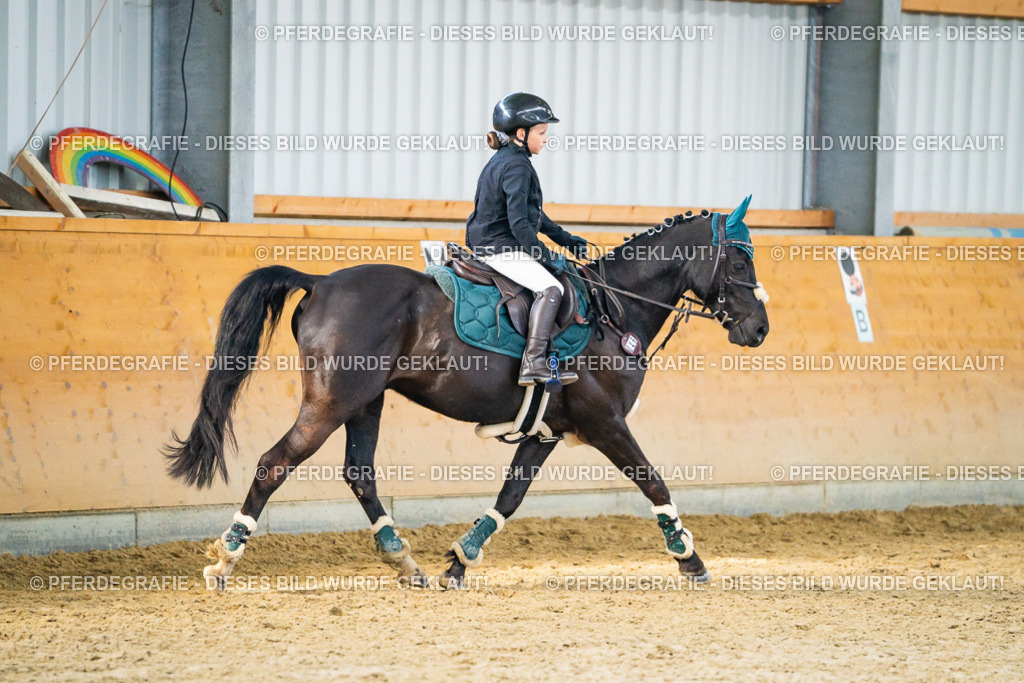 DSC00973 | Pferdegrafie