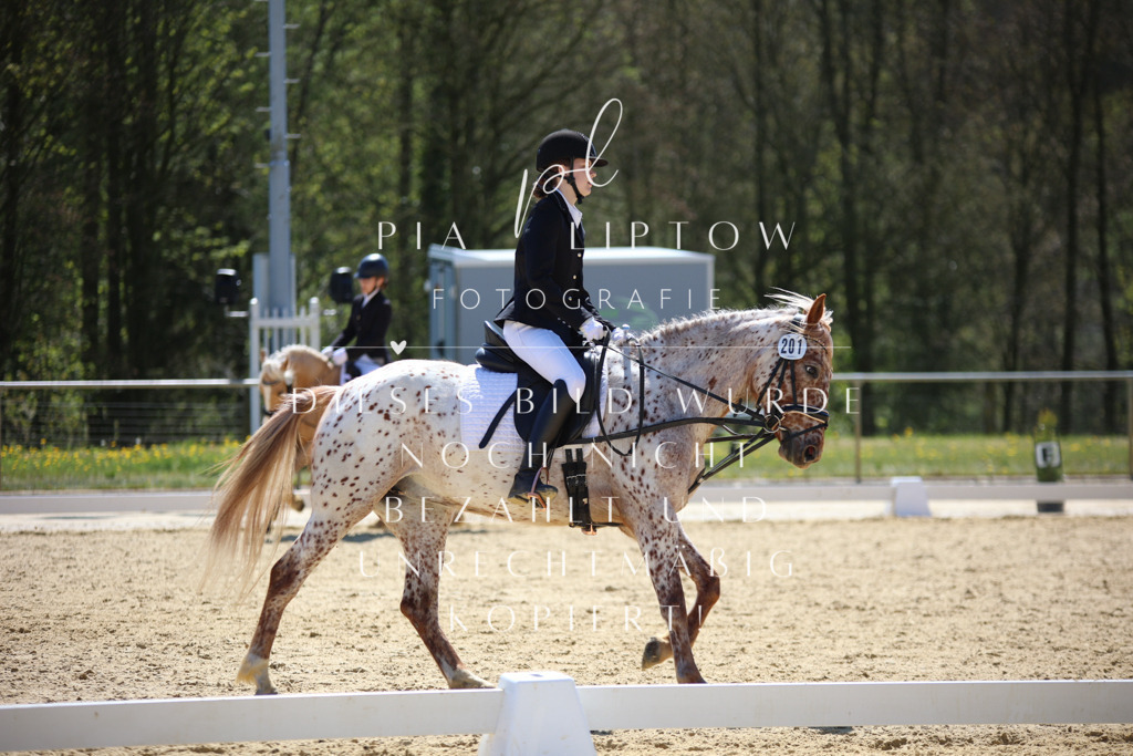 IMGT0688 | pl-fotografie