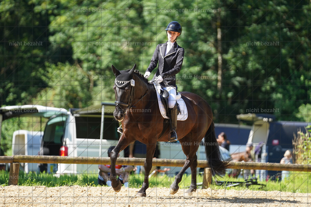 20240706-FAH04900 | Grafing Turnierfotos, Reitverein Ebersberg, Turnierfotografen Bayern, reitsportbilder, Pferdefotograf, reitsportfotograf, Sportbilder, Reitsportfotografie, Fotoagentur Herrmann, Turnierfotograf