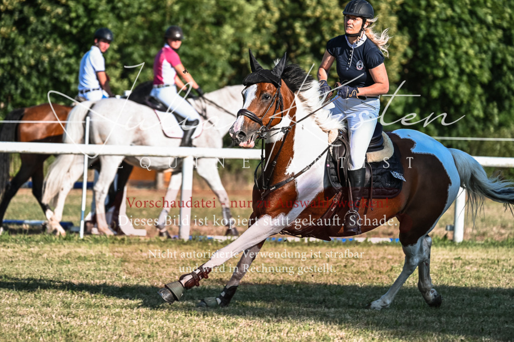 DSC_2846 | Pferde- und Turnierfotografie in Westsachsen. Pferdeportraits, Auftragszeichnungen und intuitive Kunst.