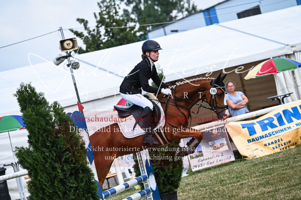 DSC_8079 | Pferde- und Turnierfotografie in Westsachsen. Pferdeportraits, Auftragszeichnungen und intuitive Kunst.