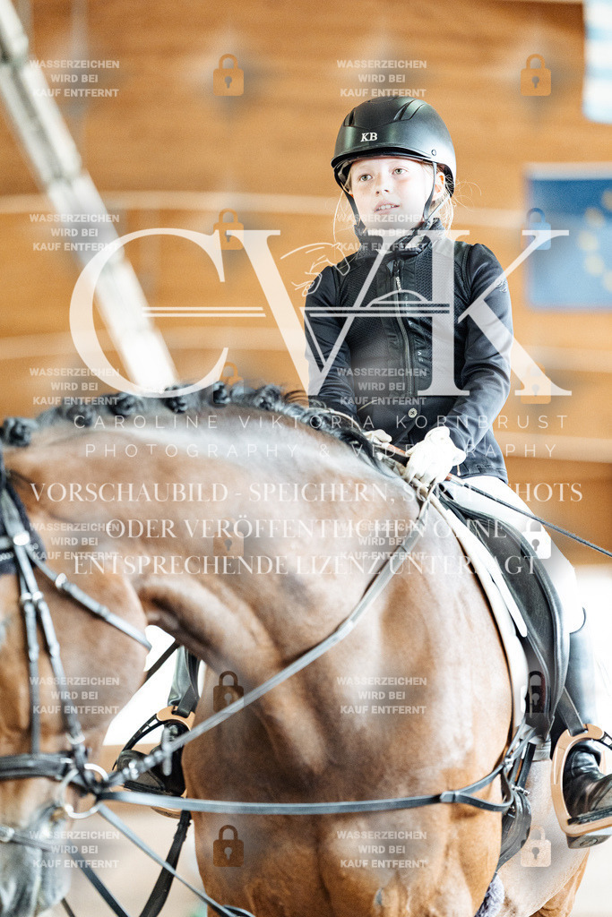 CK900879 | Turnierfotografie Pferdefotografie Trier Rheinland-Pfalz Pferdesport Reitsport Tierfotografie Sportfotografie Pferdevideo Pferdevideografie Equestrianvideography equestrianphotography  - Realisiert mit Pictrs.com