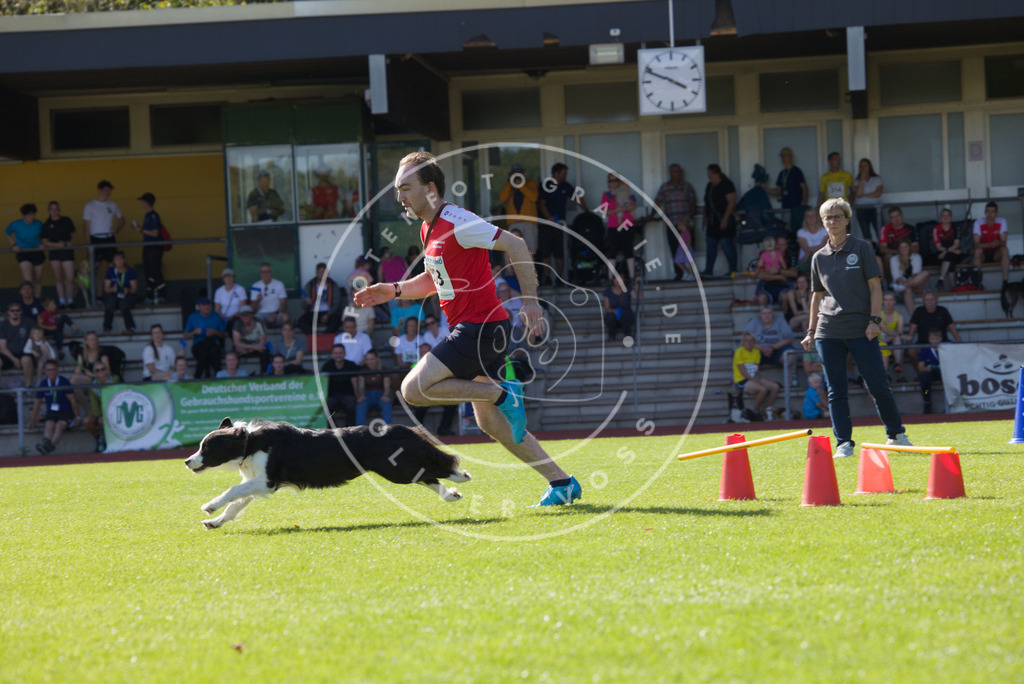 0L8A8400 | Hundefotografie, Tierfotograf, Pfotenfotografie, Fotoshooting Hund, Hunde Portrait, Hundesport, Hundeportraits, Heideshooting, Hunde, Sportfotograf, Hundefotograf, Turnierhundsport, THS,  - Realisiert mit Pictrs.com