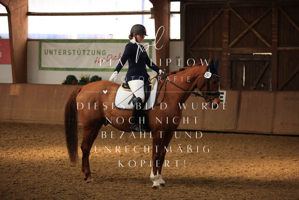 IMGT7641 | pl-fotografie