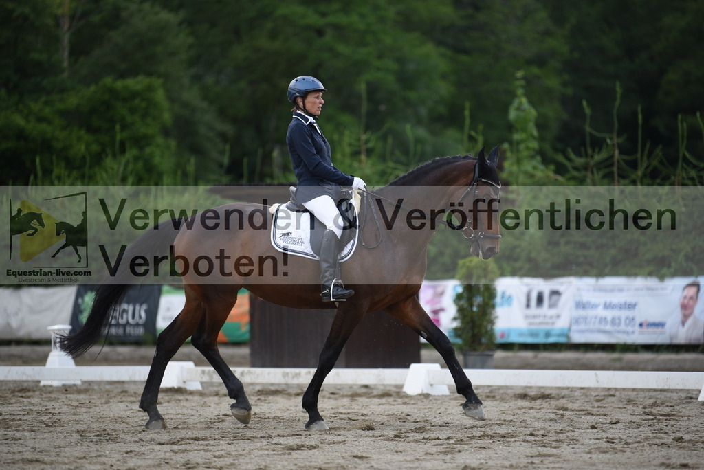 DSC_6706 | equestrian-live-com
