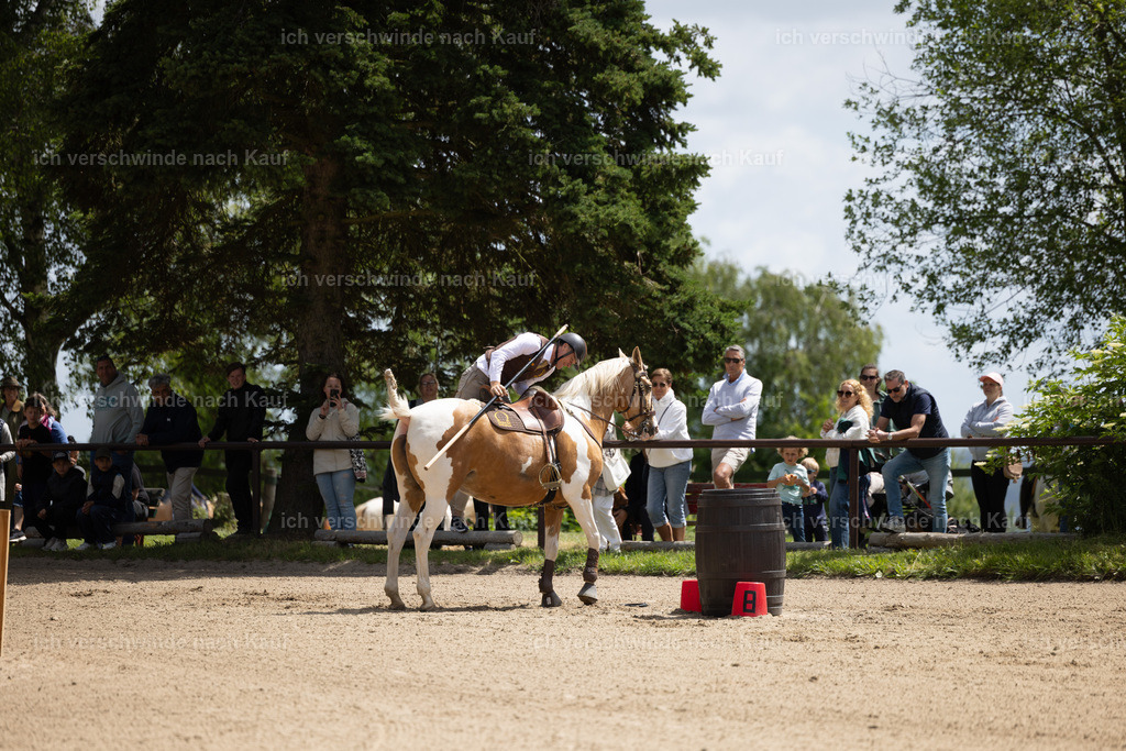 Masterclass_stoibphotography_C2_C7901.CR3 | working equitationturnier fotograf videograf stoibphotography marixx film working equitation deutschland reitsport turnierfotografie eventfotografie equestrian events