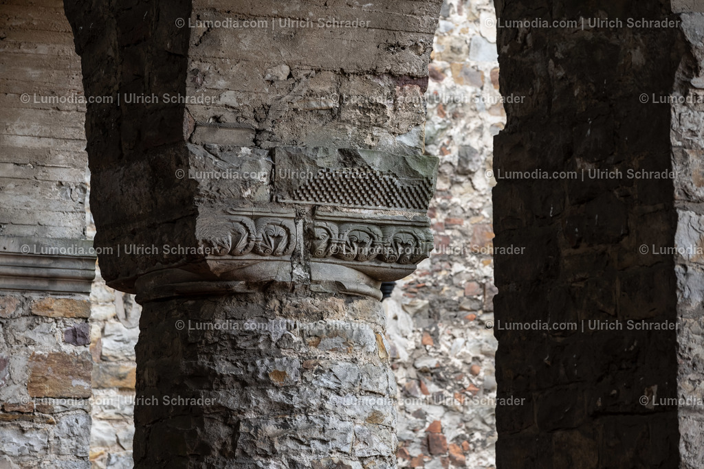 10049-12510 - Schloß und Stiftskirche Leitzkau | Stockfoto und Bilderpool mit Bildmaterial aus Deutschland, dem Harz, Halberstadt, Quedlinburg, Wernigerode und weltweit. Qualitativ hochwertige und professionelle Fotos anschauen und kaufen. - Realisiert mit Pictrs.com