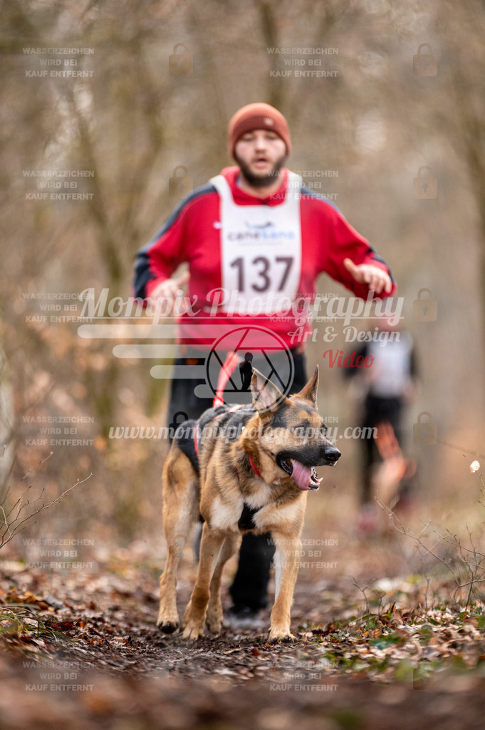 Reiat2023_SON_CaniXRun_5km_M-41 | PayLife
