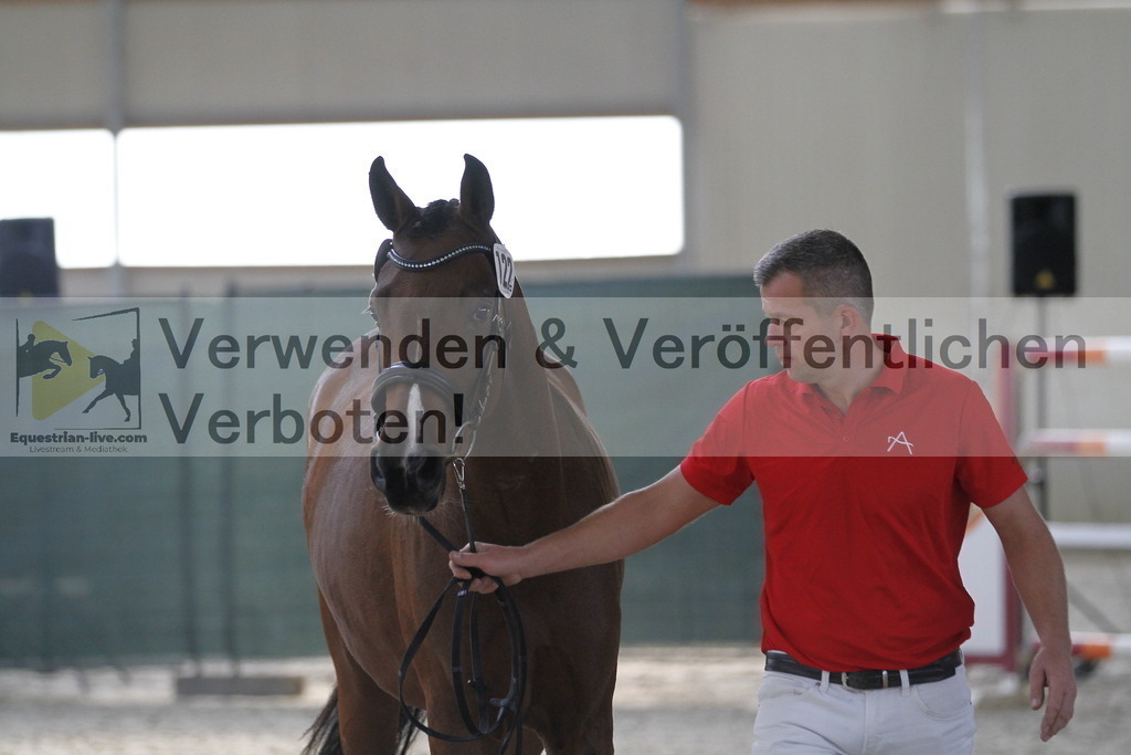 _MG_9588 | equestrian-live-com
