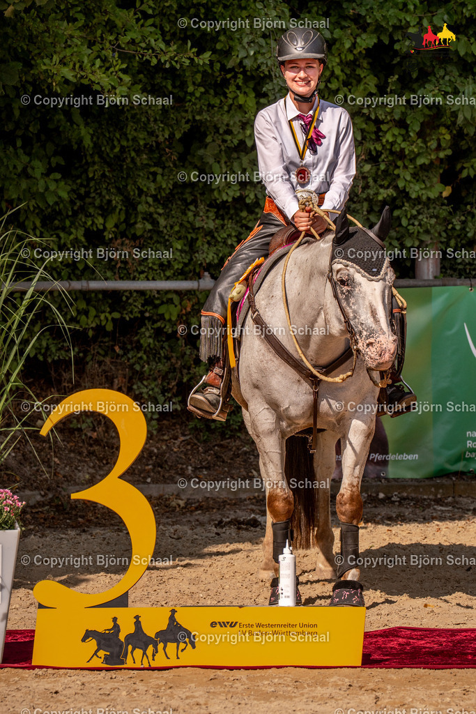 LMS08253 | BS-foto