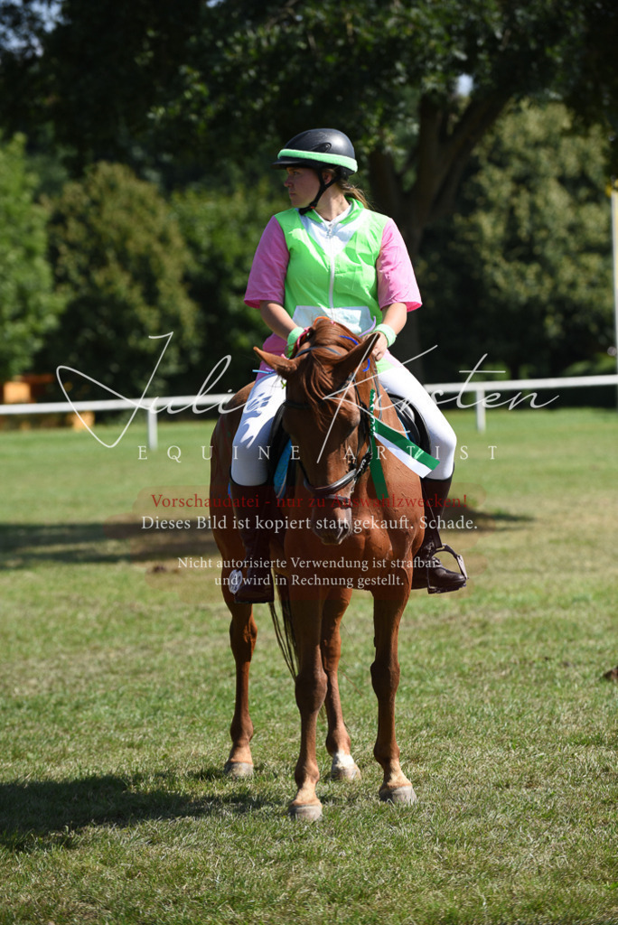 DSC_0479 | Pferde- und Turnierfotografie in Westsachsen. Pferdeportraits, Auftragszeichnungen und intuitive Kunst.