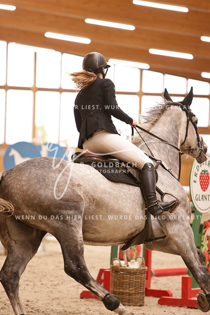 1J2A4181Alina Maack_ Karat du Scal__ Kn302_ Hohen Wieschendorf_ Glantz | Foto- und Videografie für alles rund ums Pferd. Hochwertige Bilder und Videos vom Spring- und Dressurreiten, Voltigieren & mehr. Jetzt aktuelle Veranstaltungen und Preise im Shop ansehen. - Realisiert mit Pictrs.com