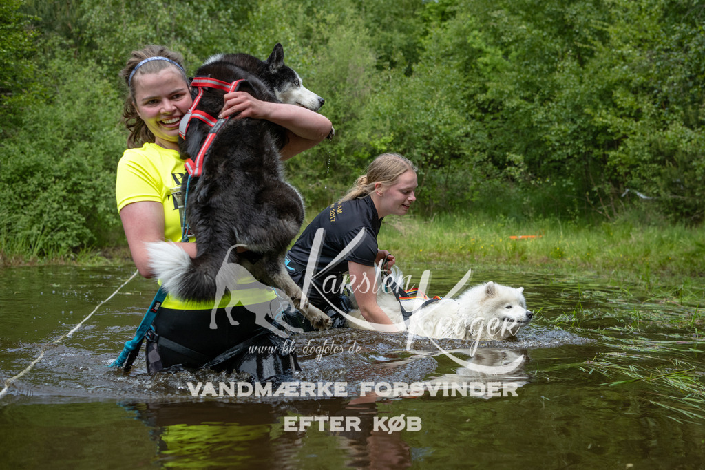 1114DKK994512 | kk-dogfotos