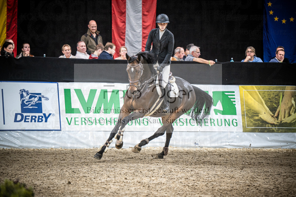 DOS_1040 | Entdecke hochwertige Reitturnierfotos von Foto Oger. Professionell, emotional und authentisch – jetzt Lieblingsmomente im Shop bestellen.Deutschlandweite Turnierfotografie. - Realisiert mit Pictrs.com