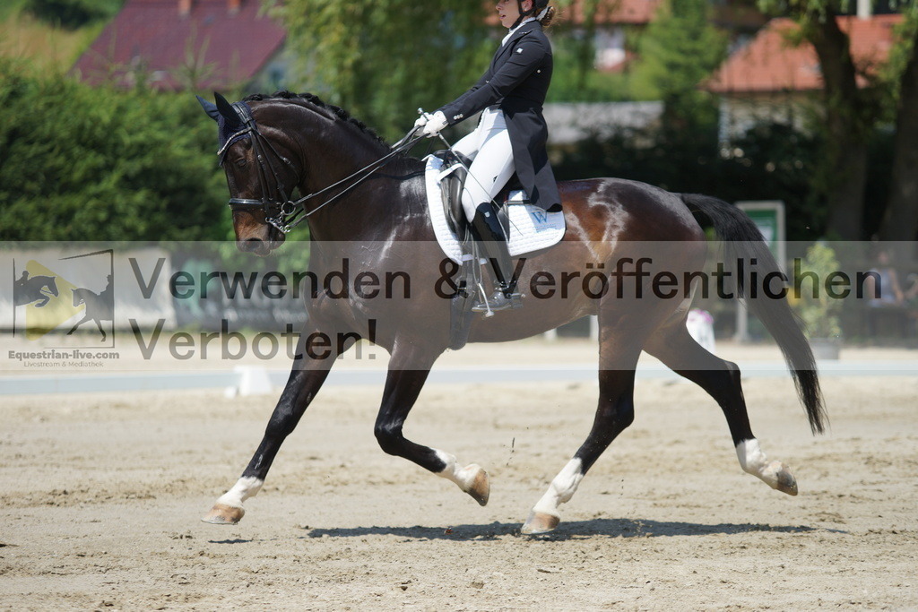 DSC05151 | equestrian-live-com