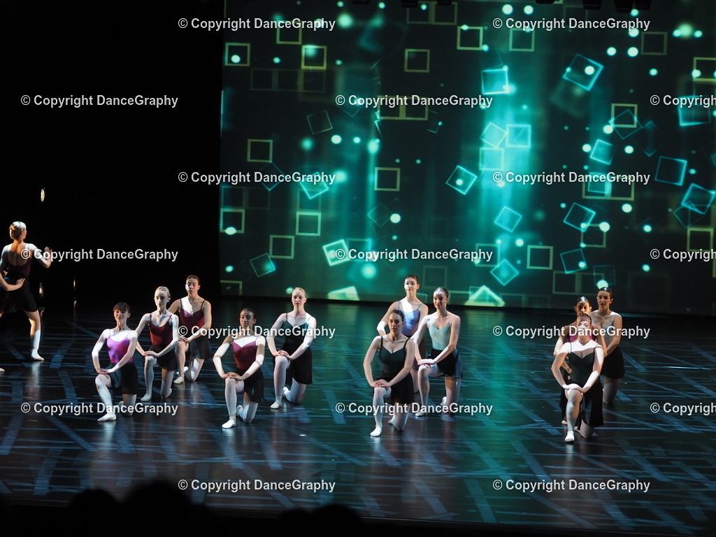 P7260386 | DanceGraphy - Realisiert mit Pictrs.com