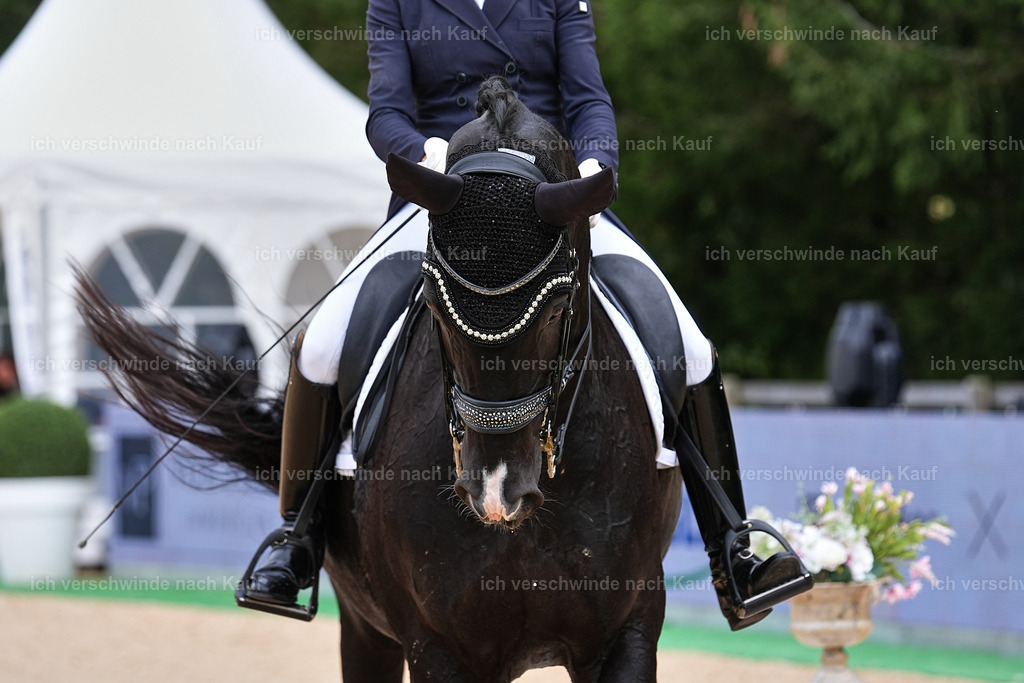 11-042-Dressur S___-Marixx-1671 | working equitationturnier fotograf videograf stoibphotography marixx film working equitation deutschland reitsport turnierfotografie eventfotografie equestrian events