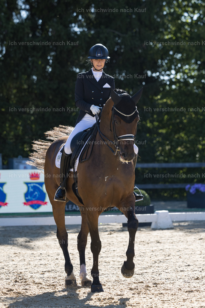 FHC2026_P07_150_17280 | working equitationturnier fotograf videograf stoibphotography marixx film working equitation deutschland reitsport turnierfotografie eventfotografie equestrian events