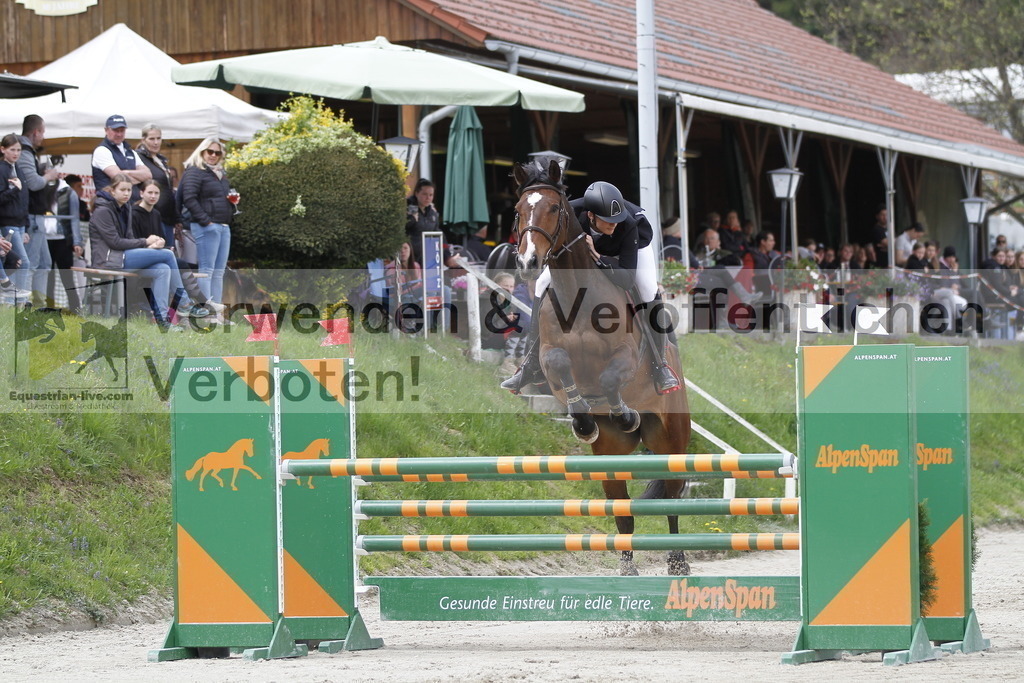 _MG_4047 | equestrian-live-com