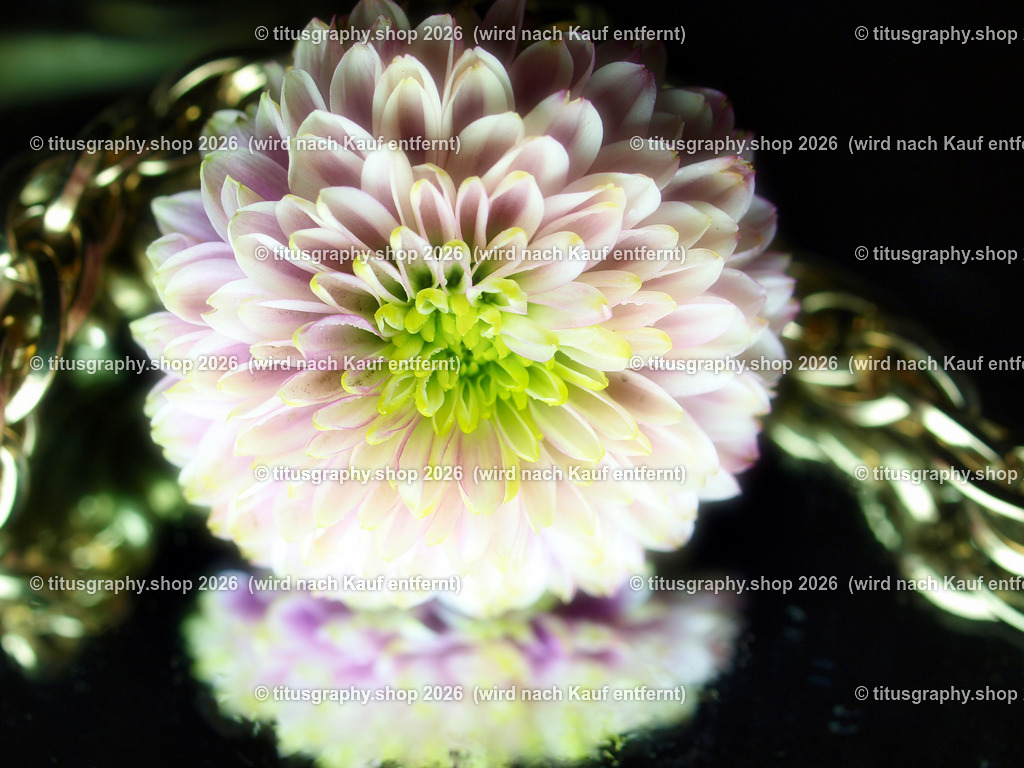 titusgraphy_P7098950-vz-ln-2 | titusgraphy-shop: Geschenkideen mit Qualitätsfotos. titusgraphy-shop: gift ideas with quality photos. titusgraphy-shop: idées cadeaux avec photos de qualité.  - Realisiert mit Pictrs.com