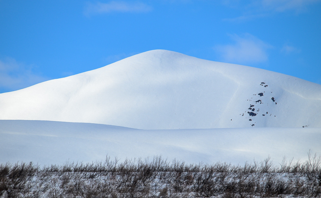 Alaska | Denali Highway - Realisiert mit Pictrs.com