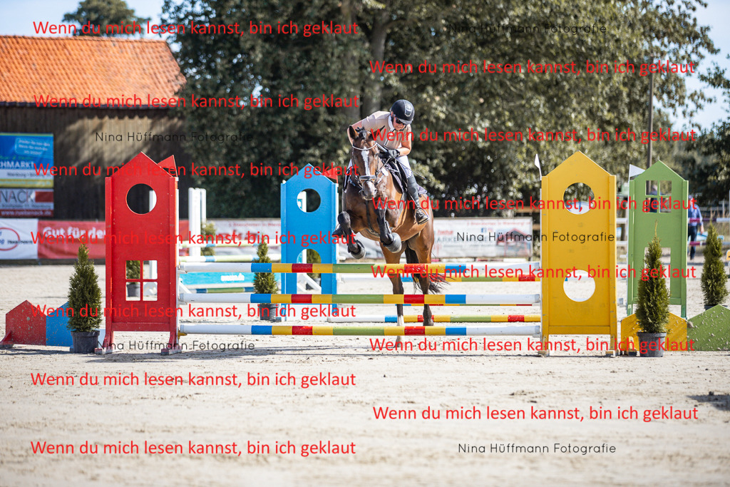 BK1A6993 | Turnierbilder Turnierfotos Nina Hüffmann Turnierfotografie Pferdefotografie Tierzeichnung Haustierzeichnung Pferdezeichnung Hundezeichnung Videograf  - Realisiert mit Pictrs.com