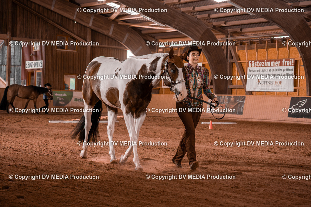 NE201508 | dv-media-shop - Realisiert mit Pictrs.com