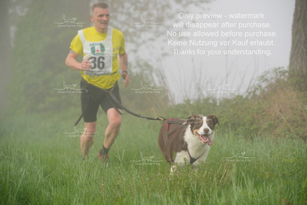 SA_GL2-199 | stephaniefillaphotographie - Realisiert mit Pictrs.com