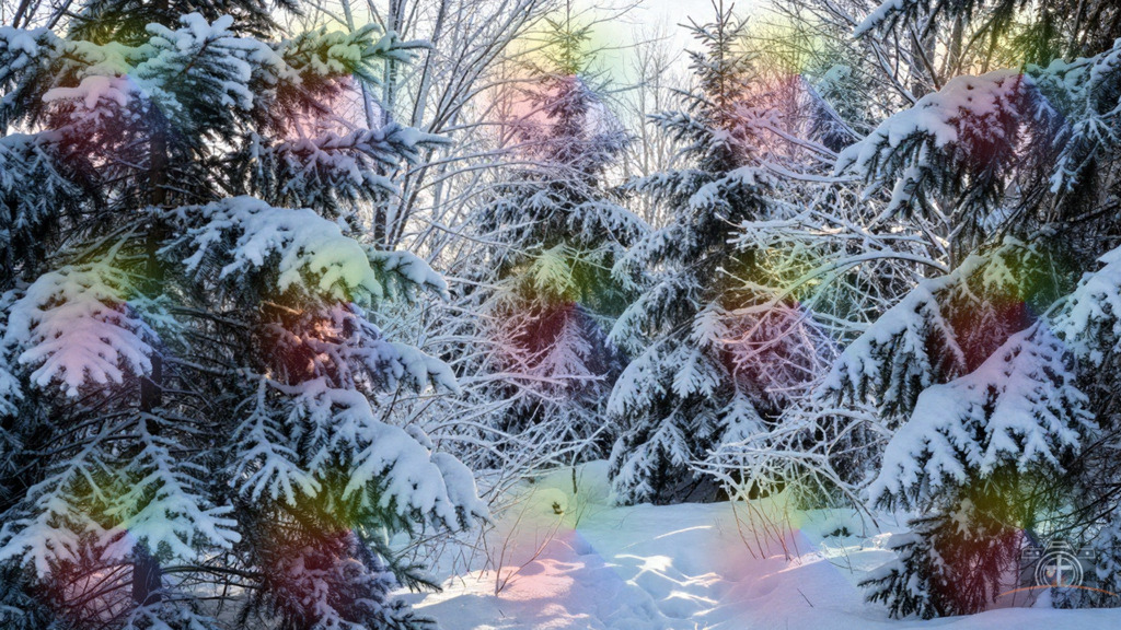 Winterwald - 4k | Entdecken Sie eine vielfältige Auswahl individueller Fotos zum Kauf auf picturalux.de. Finden Sie hochwertige Bilder für Ihre Projekte, die Ihre Botschaft perfekt unterstreichen. Stöbern Sie jetzt und verleihen Sie Ihren Inhalten das gewisse Etwas! - Realisiert mit Pictrs.com