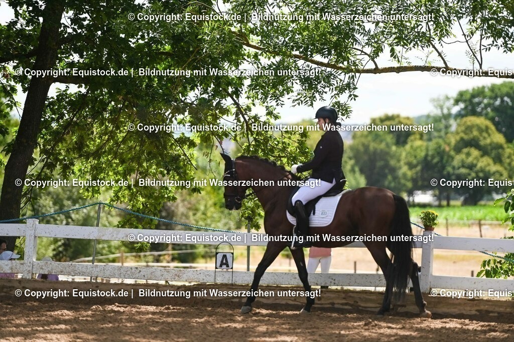 20230716_03_Dressurprfg. Kl.L - Tr._0110 | equistock
