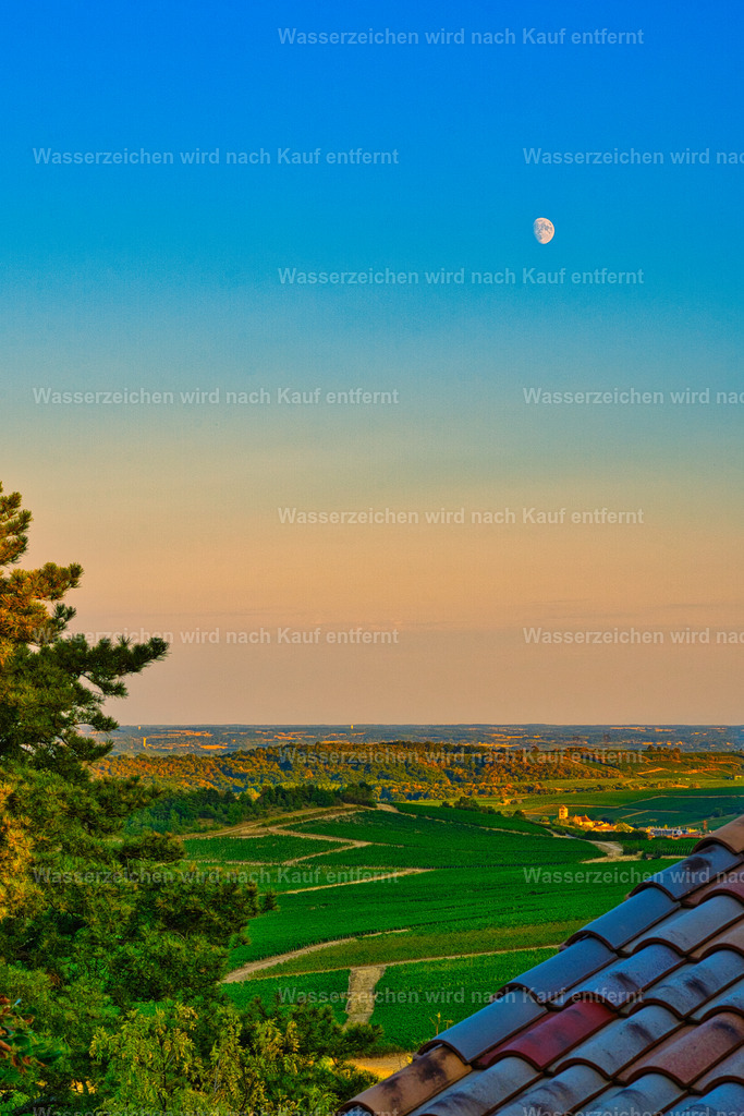 Bourgogne - Sonnenuntergang über den Weinbergen mit Mond | Ein stimmungsvoller Sonnenuntergang über den sanften Weinbergen der Bourgogne. Warmes, goldenes Licht liegt über den Reben, während die letzten Sonnenstrahlen die Landschaft in leuchtende Orange- und Goldtöne tauchen. Eine ruhige, typisch burgundische Abendstimmung. - Realisiert mit Pictrs.com