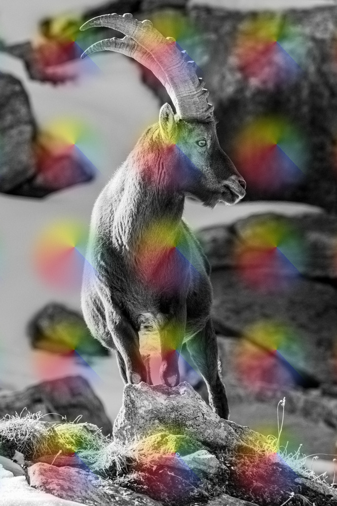 148A1128 | FineArtPrint, Hahnemühle, FeeGalerie, Fee Galerie, Fotokunst, Fotografie, Canonphotography, Bergfoto, Matterhorn, Rimpfischhorn, Allalinhorn, Saas-Fee, Wallis, Valais, Switzerland, Bergfotografie